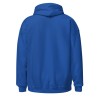 Ligier F1 Hoodie